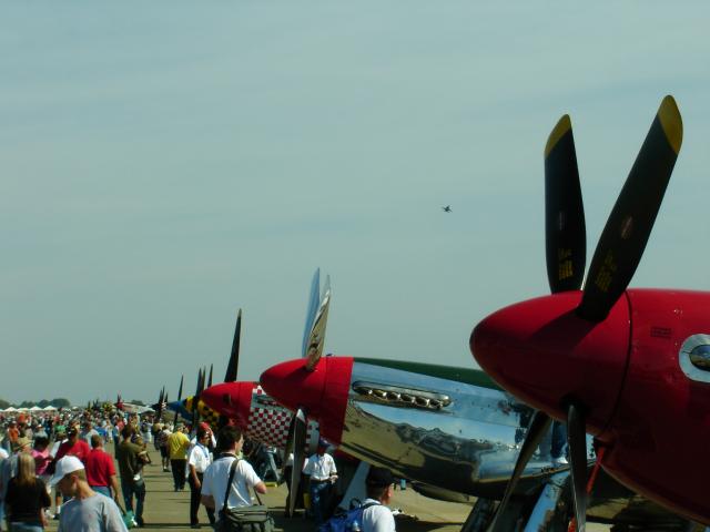 FA2007_-_Line_Up_of_Mustangs.JPG